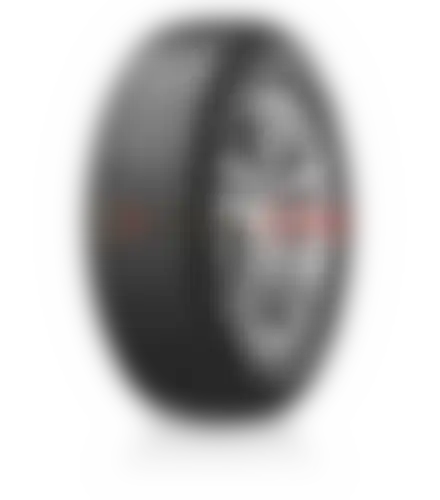 Dynapro HP2 RA33