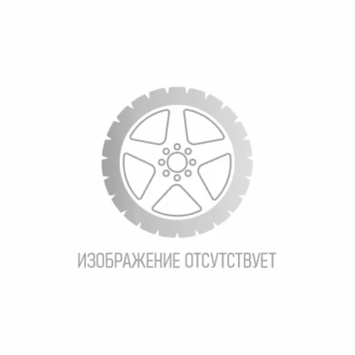 Легковые шины N-Fera Sport 205/65R16 95W N'Fera SPORT купить недорого в интернет магазине Шин Лайн в Казахстане с доставкой