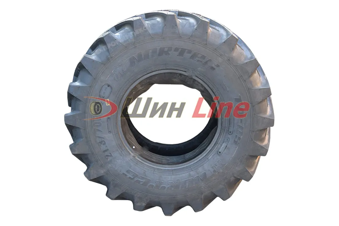 Сельхоз шина АШК NORTEC TA-05 21.3/70 R24 155R , фото 3