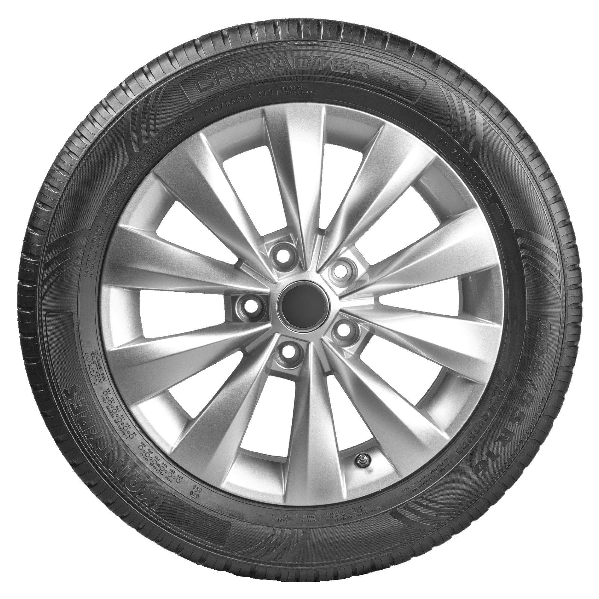 195/65R15 91Н Ikon Character Eco