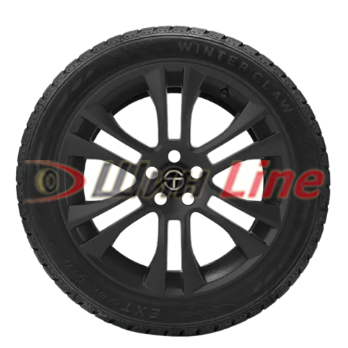Легковая шина зимняя шипованная Pirelli Winter Claw Extreme Grip 225/55 R18 102T , фото 3