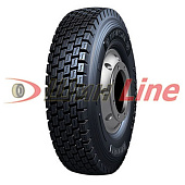 CPD81